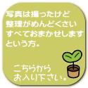 炩 艺B